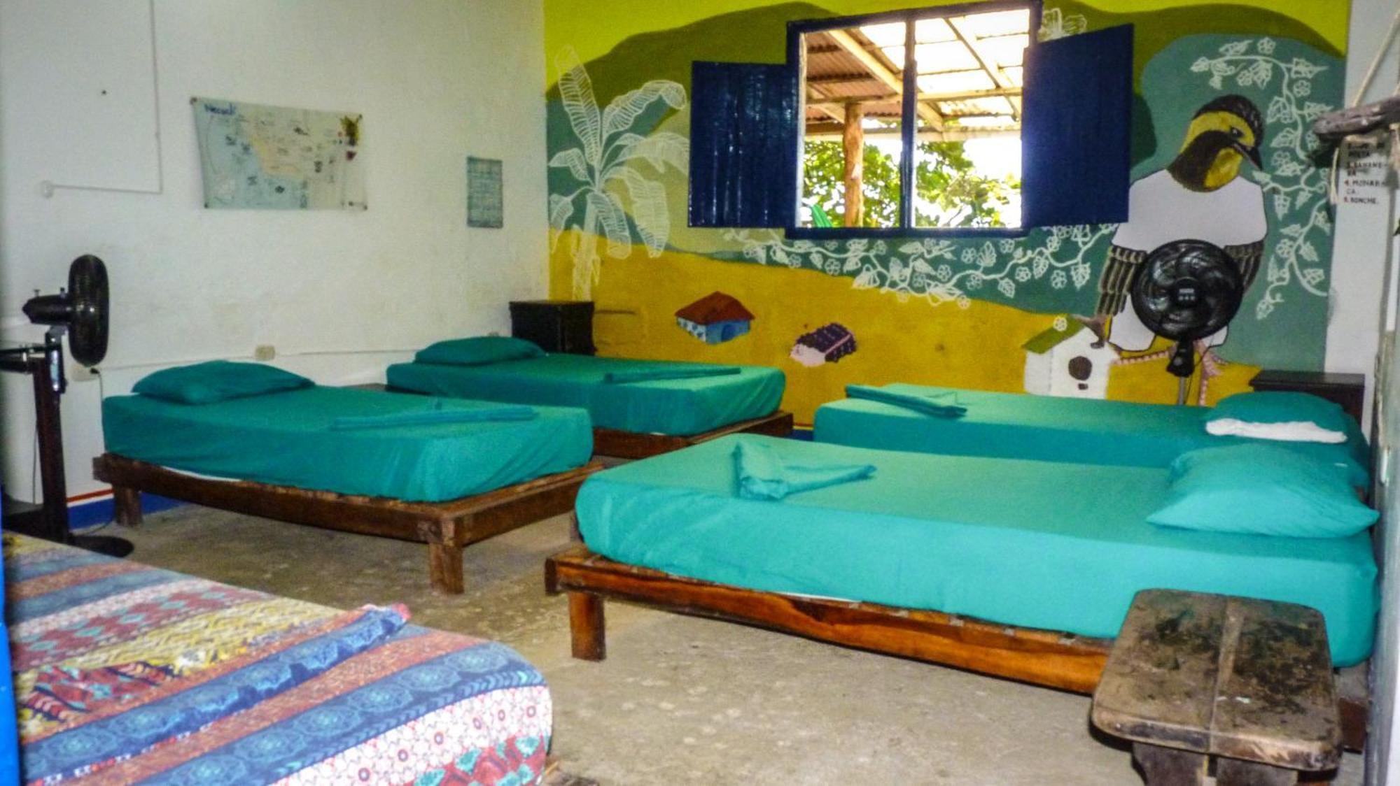 Hostal La Mariapolis Necocli Bagian luar foto